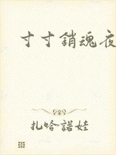 寸寸销魂夜春光