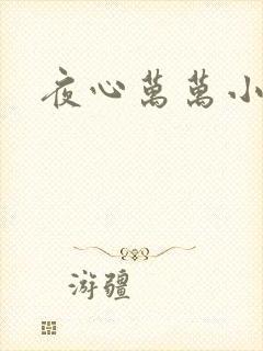 夜心万万小说
