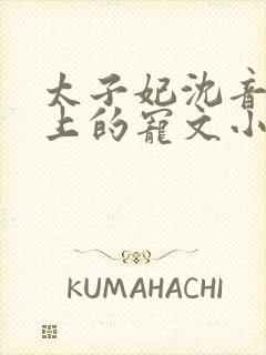 太子妃沈音和皇上的宠文小说