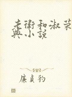 老卫和淑荣的经典小说