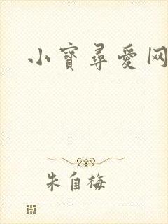 小宝寻爱网