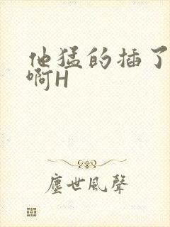 他猛的插了进去啊H