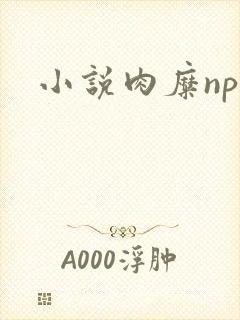 小说肉糜np