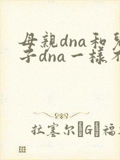 母亲dna和儿子dna一样不