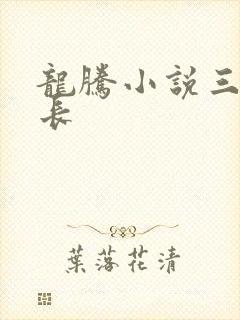 龙腾小说三宝局长