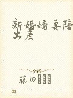 新婚娇妻陪局长出差