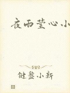 夜雨莹心小说
