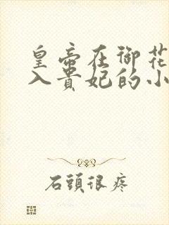 皇帝在御花园进入贵妃的小说