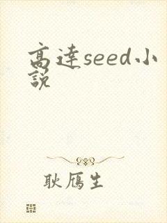 高达seed小说