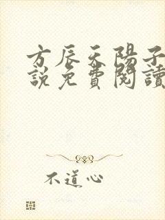 方辰天阳子的小说免费阅读