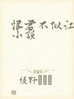 恨君不似江楼月小说