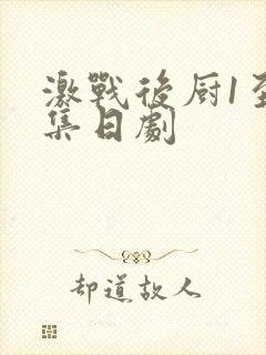 激战后厨1至5集日剧