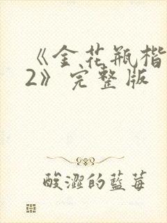 《金花瓶楷梅花2》完整版