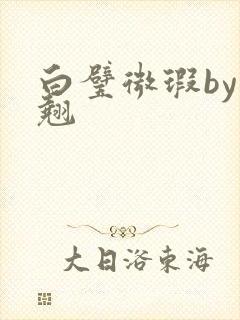 白璧微瑕by连翘