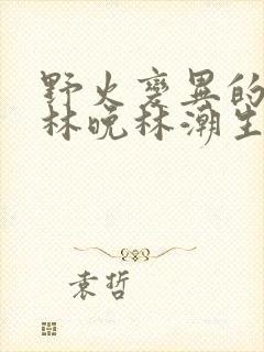 野火变异的父爱林晚林潮生