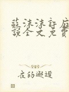 苏沫沫许庭川小说全文免费阅读