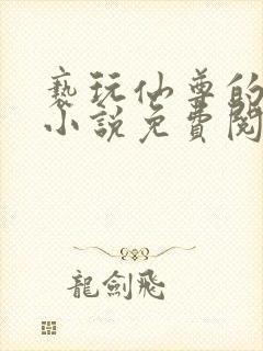 亵玩仙尊的道侣小说免费阅读