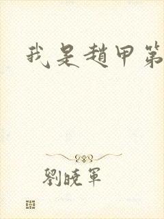 我是赵甲第小说