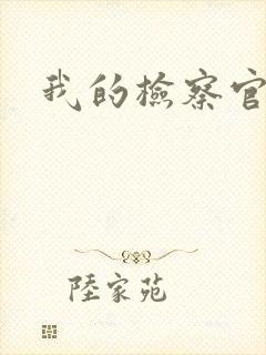 我的检察官先生