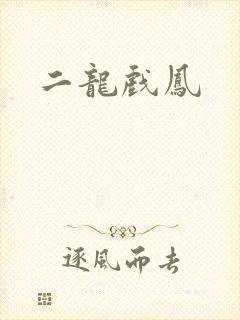 二龙戏凤