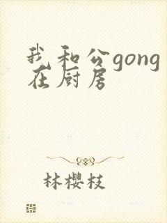 我和公gong在厨房