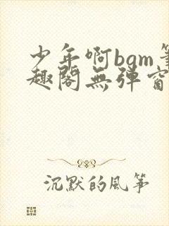 少年啊bgm笔趣阁无弹窗免费