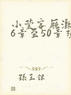 小莹客厅激情46章至50章视