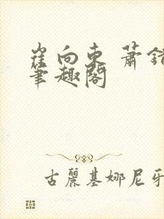 崔向东 萧错 笔趣阁