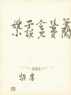 嫂子合集笔趣阁小说免费阅读