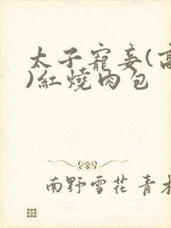 太子宠妾(高肉)红烧肉包