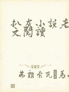 扒灰小说老马全文阅读