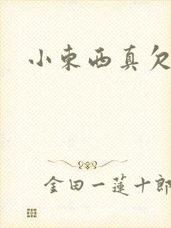小东西真欠弄
