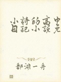 小诗的高中成长日记小说免费阅读