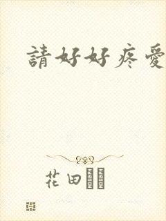 请好好疼爱里面