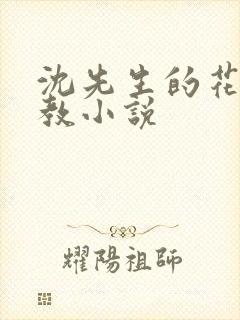 沈先生的花式调教小说