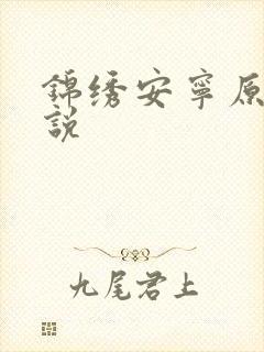 锦绣安宁原著小说