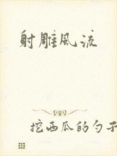 射雕风流