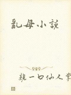 乱母小说