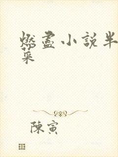 燃尽小说半截白菜