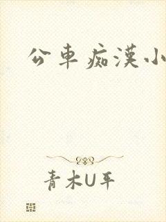 公车痴汉小说