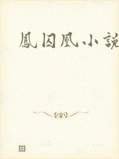 凤囚凰小说