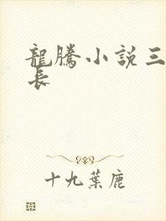 龙腾小说三宝局长