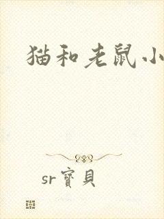 猫和老鼠小说