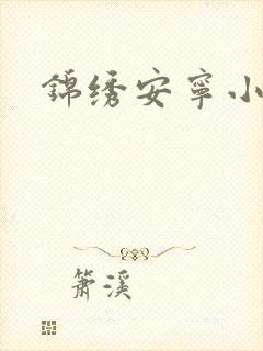 锦绣安宁小说