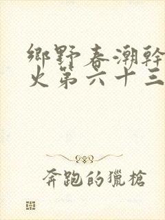 乡野春潮干柴烈火第六十三章