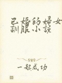 已婚的妇女被征训服小说封面