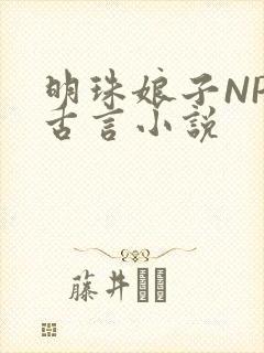 明珠娘子NPC古言小说