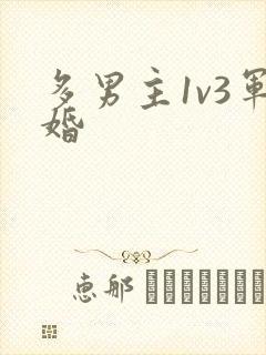 多男主1v3军婚