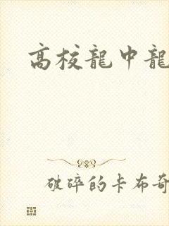 高校龙中龙