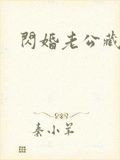 闪婚老公藏不住